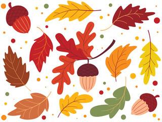 Obraz premium Hand drawn set of acorns and leaves of different colors. Colorful natural autumn collection. Fall season clip art for design, vector elements