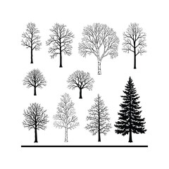 Obraz premium Set of bare trees silhouettes with bare branches on a cold winter landscape