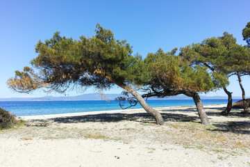 Kassandra coastline near Lagoon Beach, Chalkidiki, Greece