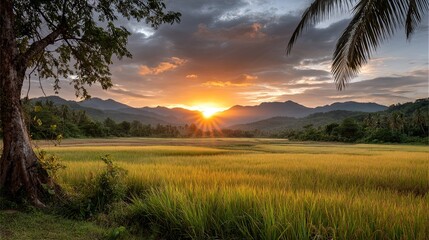 Golden sunset over vast rice fields and tropical mountains Sunbeams pierce dramatic clouds framed by a tree and palm frond