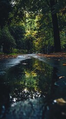 Rain-soaked path reflecting lush trees