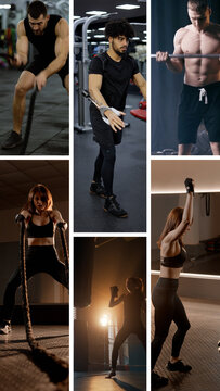 Multi Screen Vertical Fitness Opener