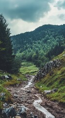 Obraz premium A muddy path winds through a lush green valley nestled in a mountainous landscape under a cloudy sky