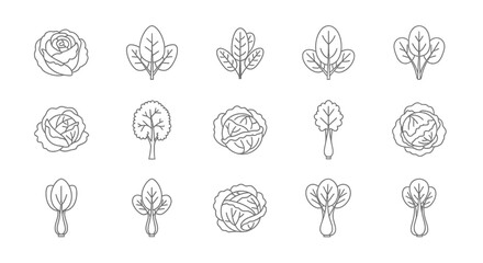 Collection of line art illustrations of various leafy green vegetables and cabbage varieties, isolated on a clean, perfect for healthy eating and culinary themes