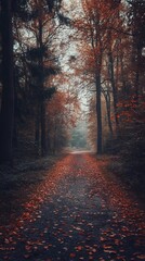 Obraz premium Autumnal forest path, fallen leaves