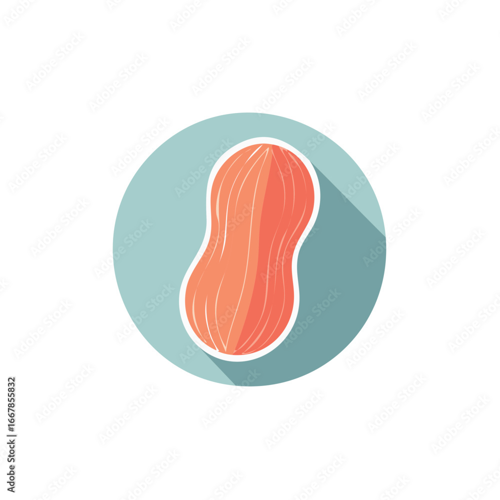 Poster peanut in shell flat design icon vector illustration with a long shadow on a blue circle
