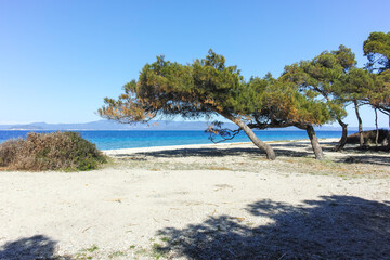 Kassandra coastline near Lagoon Beach, Chalkidiki, Greece