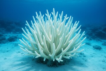 Bleached white coral on sandy ocean floor with blue water background, symbolizing marine ecosystem damage and climate change impact. Ai generative