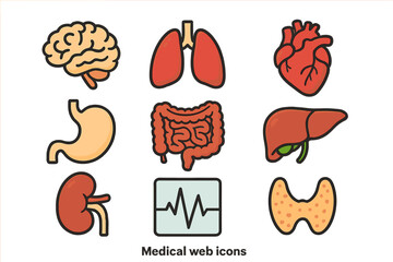 Medical human organs icon set vector illustration. Cartoon collection for health care app. Brain, heart, lungs, liver, kidney, stomach, intestine, thyroid, ecg symbol design.