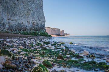 A coastal scene at Botany Bay in Broadstairs, England with white cliffs rising above a rocky shoreline covered in seaweed, meeting calm blue waters under a clear sky