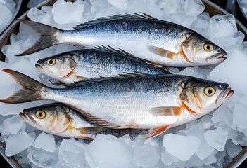 Obraz premium fresh fish on ice for sale