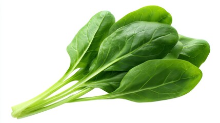 Fresh green spinach leaves arranged beautifully. This image captures the vibrant color and crisp texture of spinach. Ideal for healthy recipes and food photography. AI