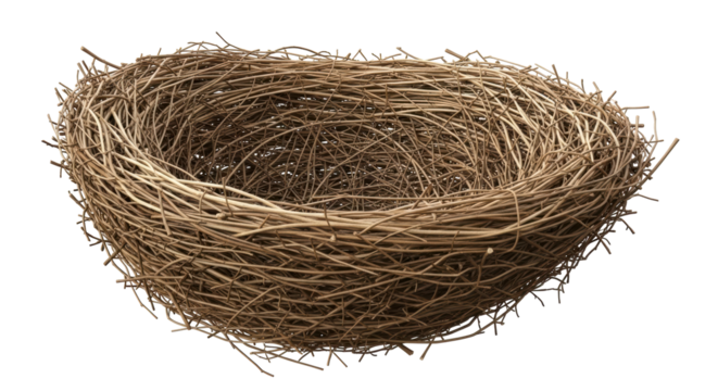 Isolated Nest