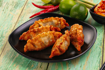 Asian fried stuffed dumplings gyoza