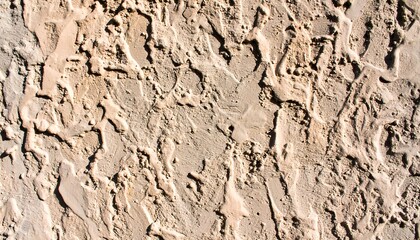 Textured beige stucco wall creates a rustic surface with varying depths and shadows