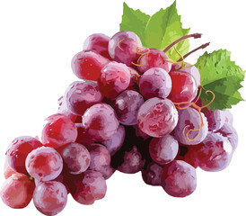 Red Grapes with Green Leaves Watercolor Style Illustration
