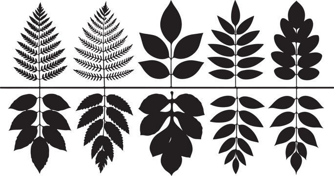 A collection of five different black silhouettes of leaf and fern frond designs with their reflections