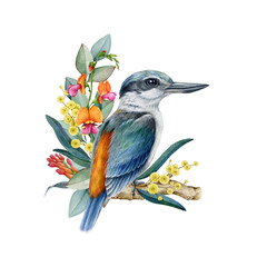 Red-backed Kingfisher with floral decor vintage style watercolor illustration. Hand drawn Australia native bird. Bright kingfisher bird with Australian native flower decoration on white background