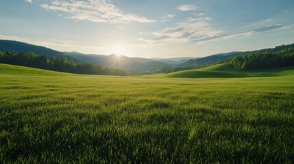 Obraz premium Sunrise over rolling hills scenic landscape nature photography lush greenery serene environment aesthetic viewpoint