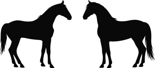 Black silhouette horses illustration, standing horse vector art, equestrian animal graphic, farm livestock design, majestic horse artwork, rural countryside animal drawing
