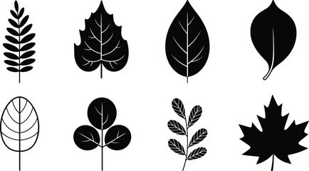 Black silhouette leaf collection illustration, botanical foliage vector art, plant shape design, nature graphic elements, decorative leaf artwork, tropical and garden leaves
