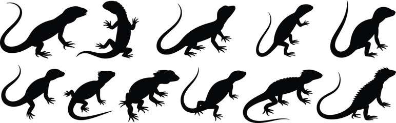 Lizard silhouette collection, reptile animal icons, gecko clipart set, wildlife vector illustration, exotic reptile poses, crawling lizard graphics, herpetology design elements