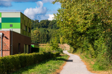 Fototapeta premium country road in the countryside