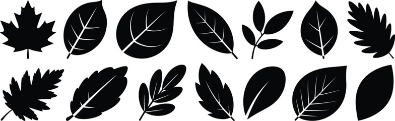 Silhouette, various leaves, botanical shapes, plant foliage, nature design, leaf variety, vector illustration, garden elements, tropical leaves, decorative pattern, natural art