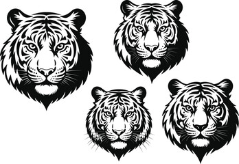 Tiger Head Illustrations Black and White Line Designs
