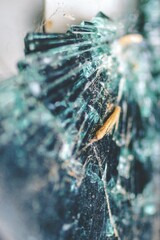 A close-up view of shattered glass featuring intricate textures, dust, and debris. Abstract Art.