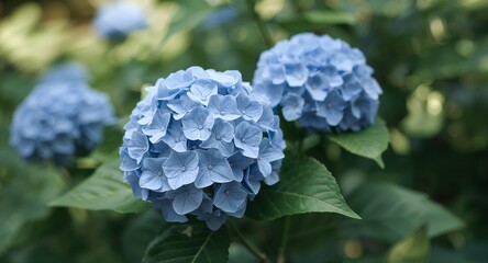 Azure Blooms in Soft Light A Botanical Still Life with Textural Greenery.