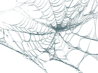 Spooky spiderweb design element for Halloween promotions and creepy designs, perfect for adding a touch of eerie charm to projects