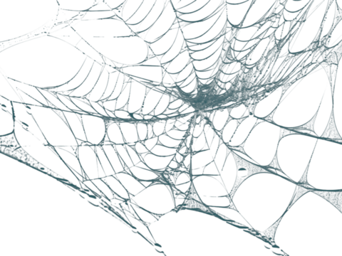 Spooky spiderweb design element for Halloween promotions and creepy designs, perfect for adding a touch of eerie charm to projects