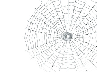 Eerie spiderweb design element perfect for Halloween marketing, spooky season promotions, or mysterious themed projects with transparent background