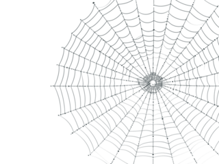 Eerie spiderweb design element perfect for Halloween marketing, spooky season promotions, or mysterious themed projects with transparent background