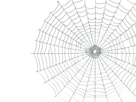 Eerie spiderweb design element perfect for Halloween marketing, spooky season promotions, or mysterious themed projects with transparent background