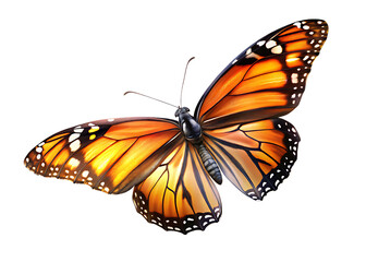Orange monarch butterfly isolated on transparent background