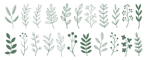 Delicate green botanical sprigs and branches illustration