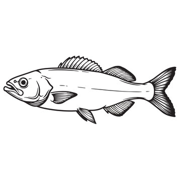 black and white silhouette vector of milk fish with white background