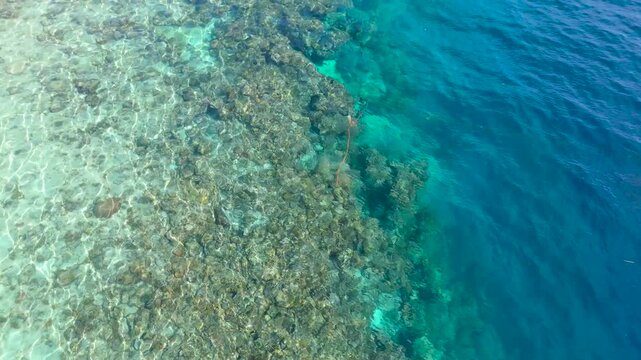 Aerial view of two people snorkeling over a coral reef in clear turquoise ocean water, Moalboal, Cebu, Philippines.