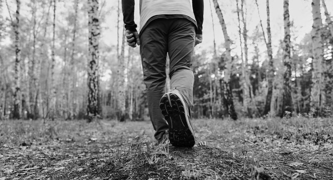 walking in the woods, black and white toned image