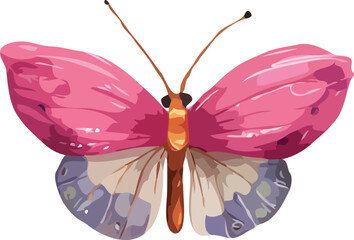 butterfly vector art