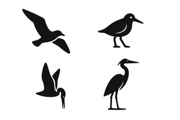 Shoreline bird icon set. Vector silhouettes of seagull in flight, sandpiper, pelican diving, and heron. Coastal wildlife symbols. Minimal flat design for logo or pictogram.