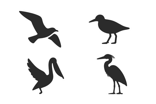 Shoreline bird silhouette icon set. Coastal birds vector collection: flying seagull, sandpiper, pelican, heron. Avian wildlife graphics for nature and coastal themes.