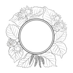 Hazelnut Branch with Nuts and Leaves Outline Round Frame. Organic natural nutritional healthy food ingredient, vegetarian diet product. Vector isolated for design or decoration.