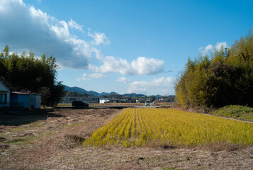 篠山城跡の秋