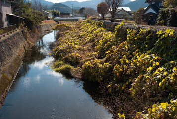 篠山城跡の秋
