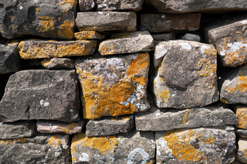 Close-up of rustic stone wall covered with yellow and white lichen in Grožnjan, Croatia