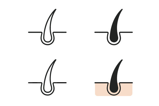 Hair follicle icon set. Skincare and dermatology concept. Hair root, growth, and treatment symbol. Vector outline and filled icons for cosmetic and medical product design.