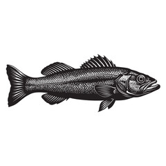 Obraz premium black and white silhouette vector of groper fish with white background